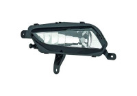 Fog lamp 1808088 Diederichs
