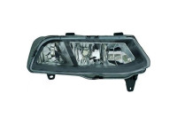 Fog lamp 2207088 Diederichs