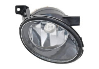Fog lamp 2215088 Diederichs