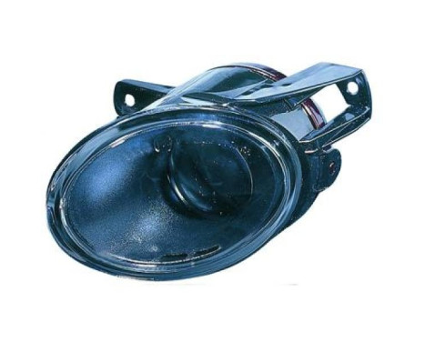 Fog lamp 2247089 Diederichs