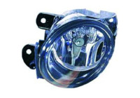 Fog lamp 2247188 Diederichs