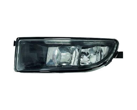 Fog lamp 2266089 Diederichs