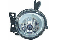 Fog lamp 2287088 Diederichs