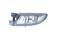 Fog lamp 3463089 Diederichs