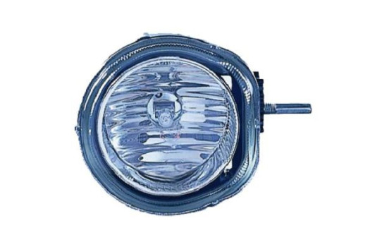 Fog lamp 3484088 Diederichs