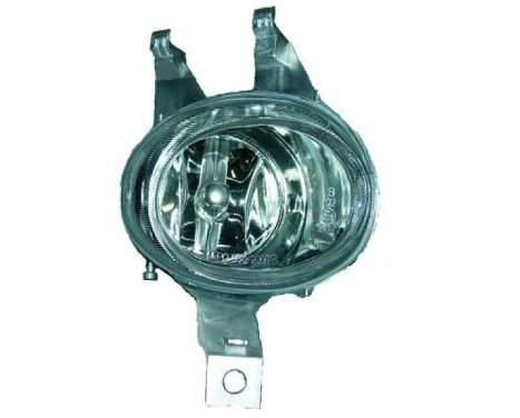 Fog lamp 4225188 Diederichs