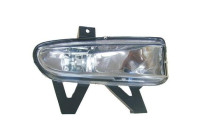 Fog lamp 4242088 Diederichs