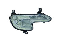 Fog lamp 4244088 Diederichs