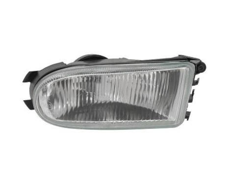 Fog lamp 4412188 Diederichs