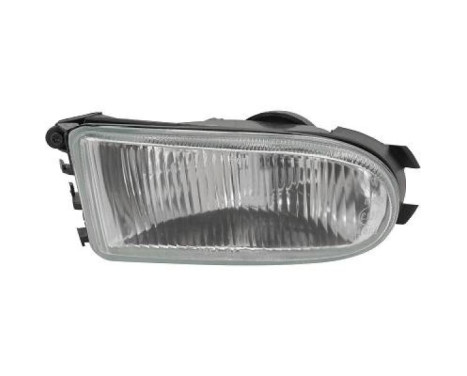 Fog lamp 4412189 Diederichs