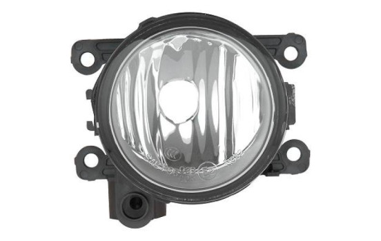 Fog lamp 4416189 Diederichs