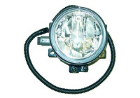 Fog lamp 5280888 Diederichs