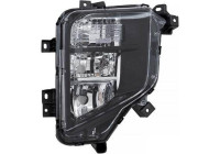 Fog lamp 5883988 Diederichs