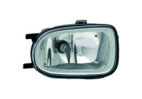 Fog lamp 6023188 Diederichs