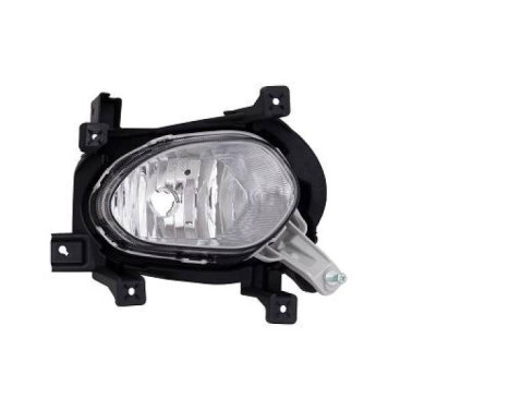 Fog lamp 6554086 Diederichs