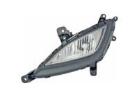 Fog lamp 6806189 Diederichs