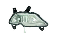 Fog lamp 6807288 Diederichs