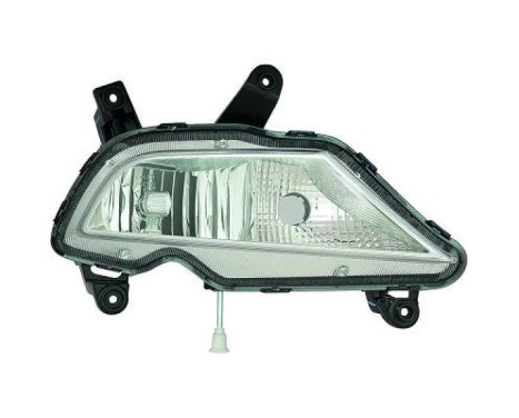 Fog lamp 6807288 Diederichs