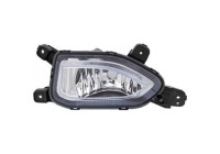 Fog lamp 6815089 Diederichs