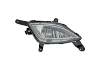 Fog lamp 6836088 Diederichs