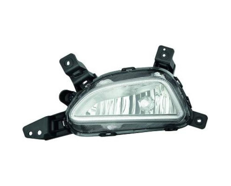 Fog lamp 6862089 Diederichs