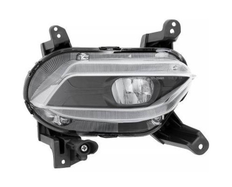 Fog lamp 6872188 Diederichs