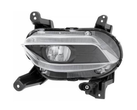 Fog lamp 6872189 Diederichs