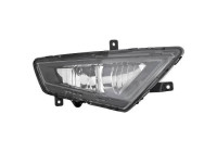 Fog lamp 7427089 Diederichs