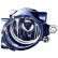 Fog lamp 7661088 Diederichs