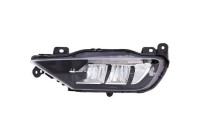 Fog lamp 7677089 Diederichs