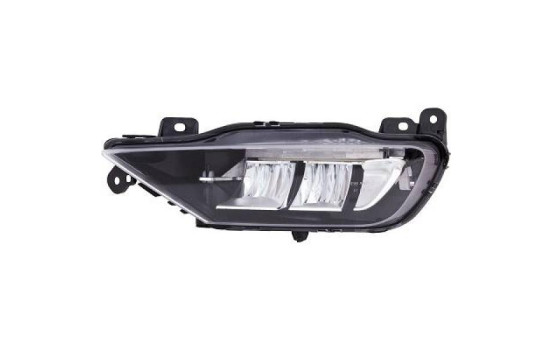 Fog lamp 7677089 Diederichs