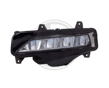 Fog lamp 7833089 Diederichs