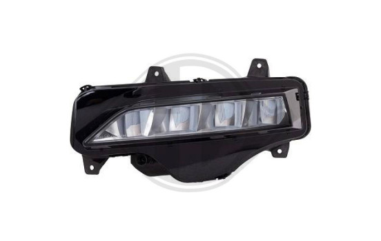 Fog lamp 7833089 Diederichs