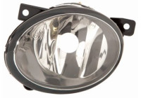Fog lamp