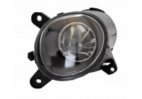 Fog Light 19-0124-05-9 TYC