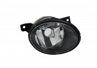 Fog Light 19-0918-01-2 TYC