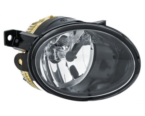 Fog Light 1N0 011 250-321 Hella