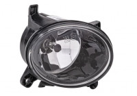 Fog Light 1N0 271 648-121 Hella