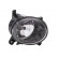Fog Light 1N0 271 648-121 Hella