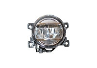 Fog Light 2590996 Van Wezel