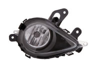 Fog Light 3872996 Van Wezel