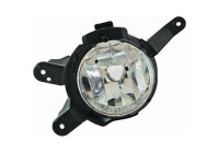 Fog Light 6913089 Diederichs