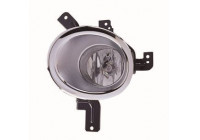 Fog Light