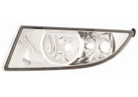 Fog Light