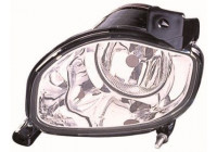 Fog Light