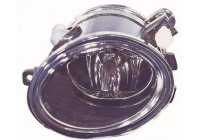 Fog Light