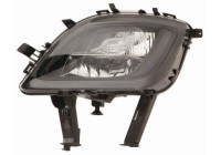 Fog Light
