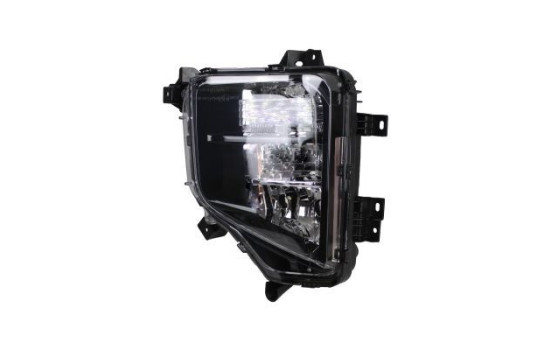 Fog light
