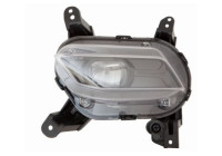 Fog light