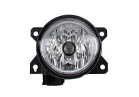Fog light